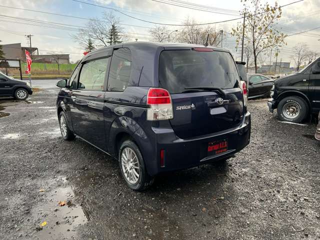 03065368