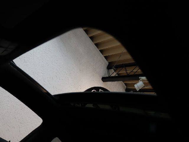 03165597