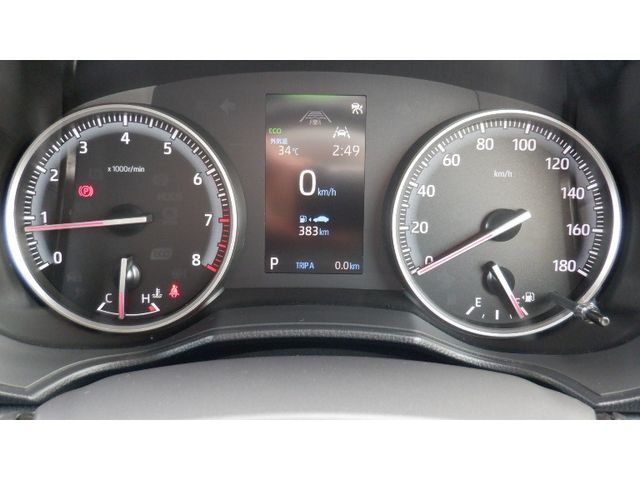 03165736