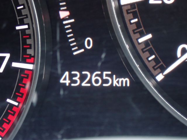 03166025