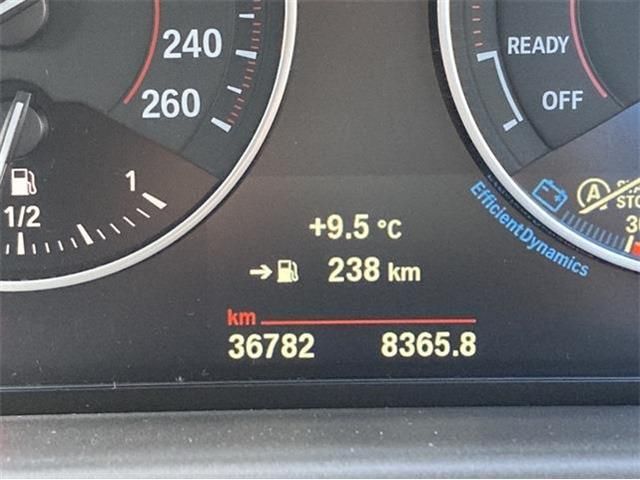 03266443