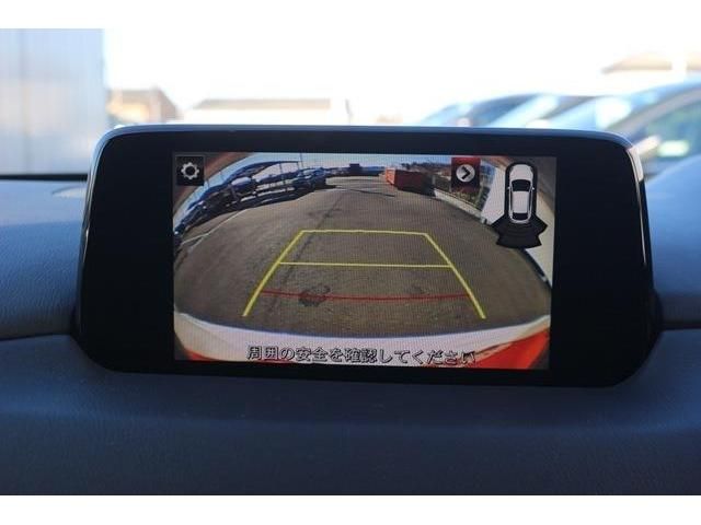 03365869