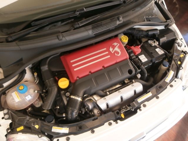 03950216