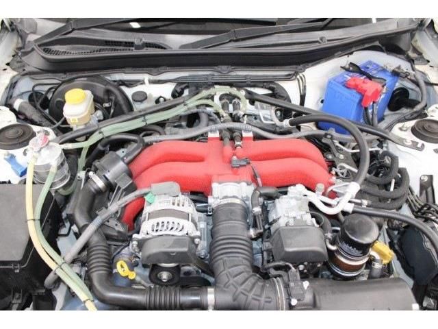 04165831