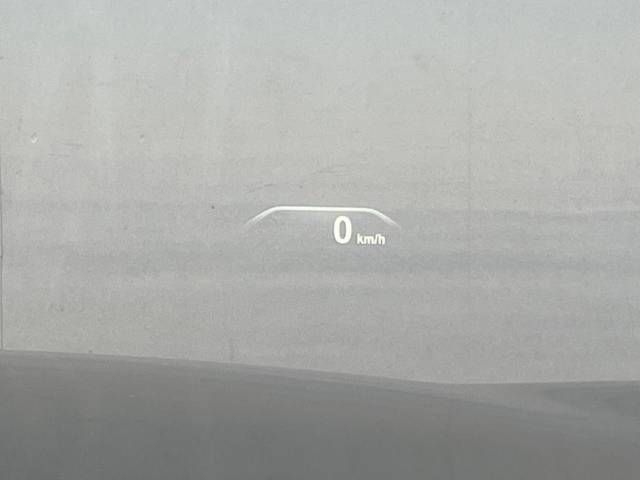 06000099