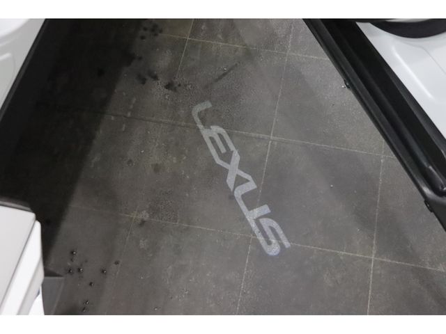 06150099