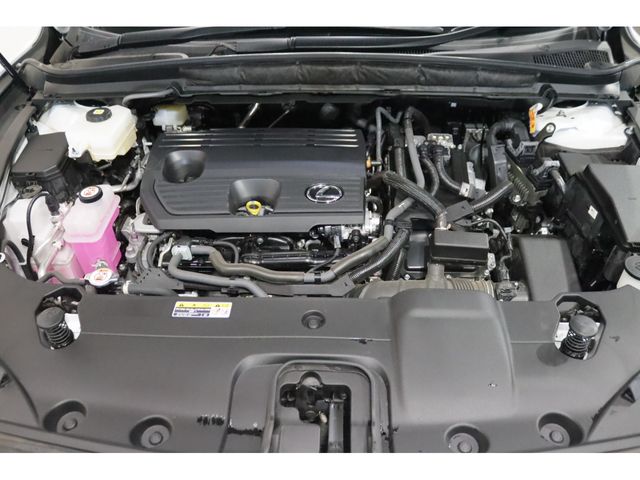 06150099