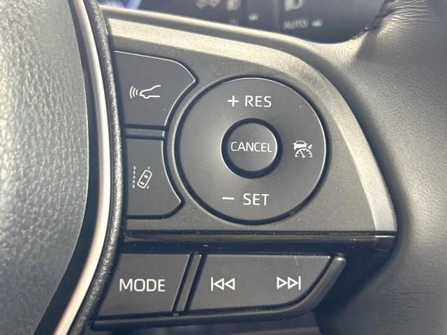 06261006
