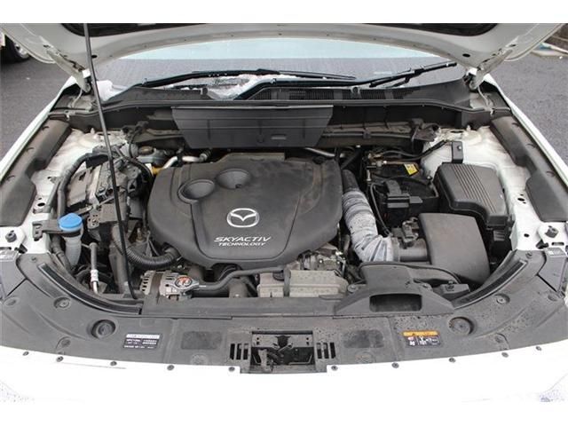 06265622