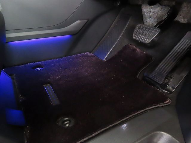06561829