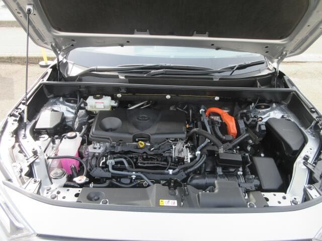06620209
