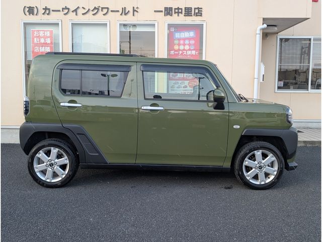 06650245