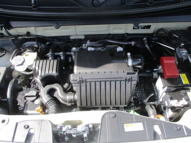 06650251