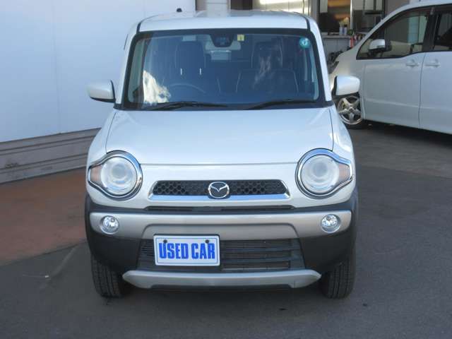 06661363