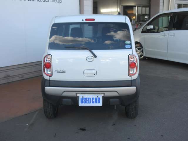 06661363