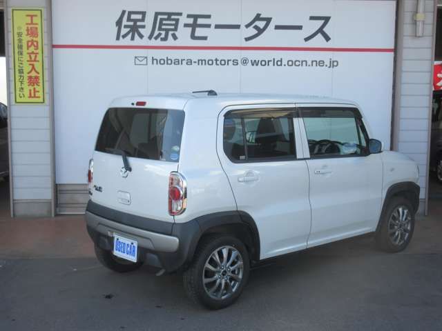 06661363
