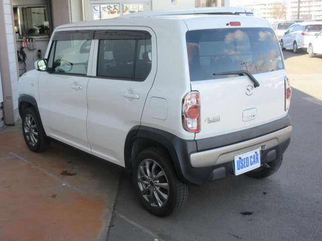 06661363