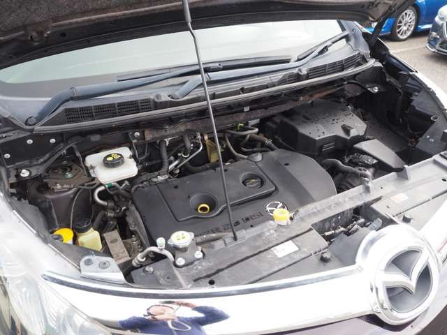 06662365