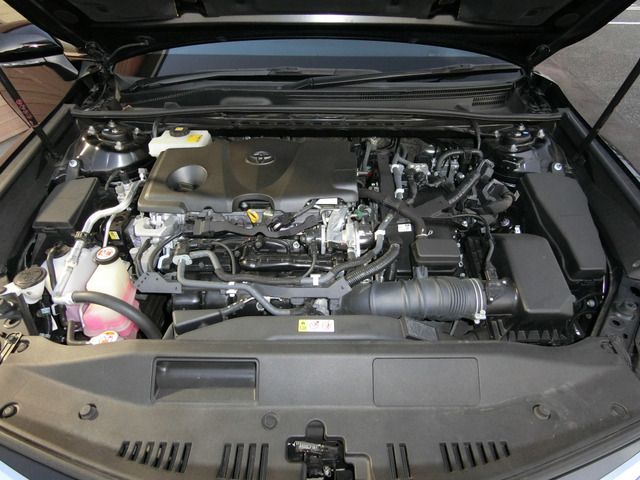 06665664