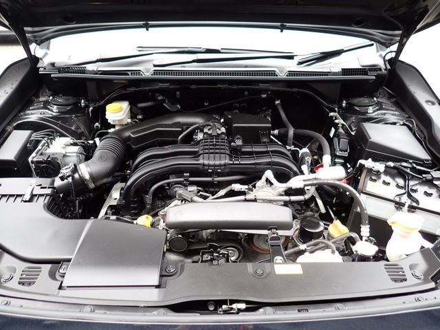 06666079