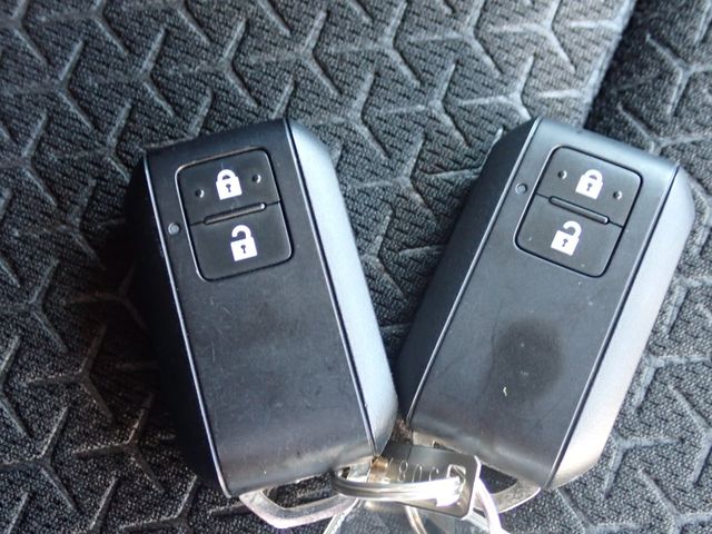 06666096