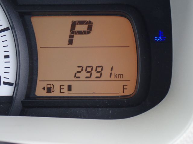 06666291