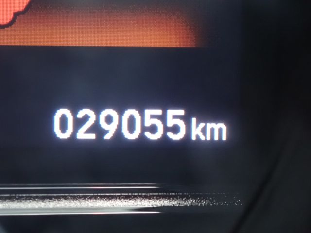 06666363