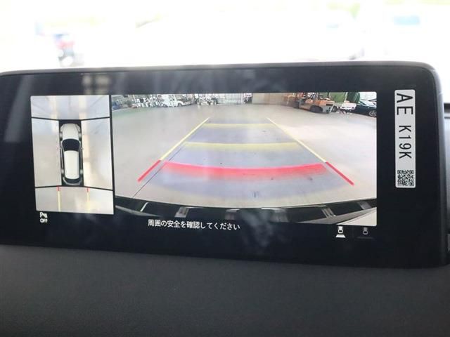 06666753
