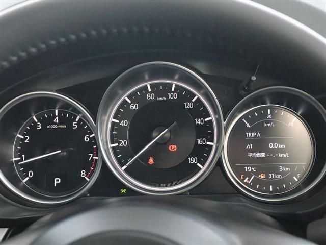 06666753