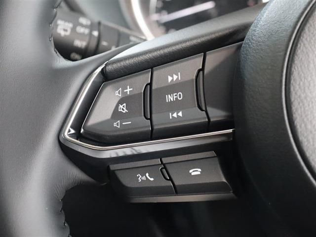 06666753