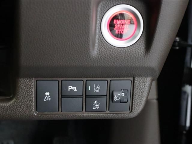 06666754