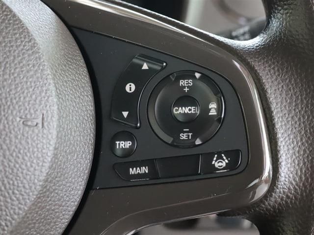 06666754
