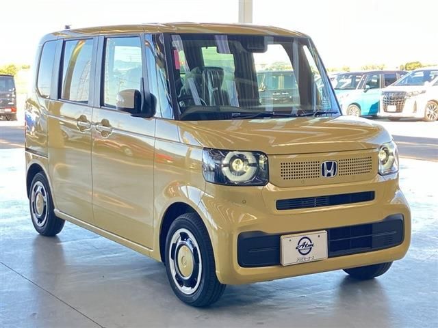 06666756