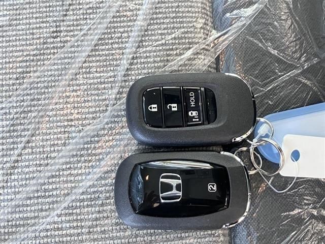 06666756