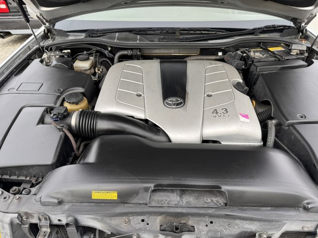 06666886