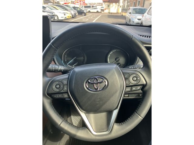 06690009