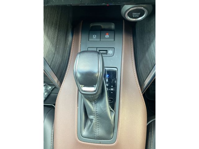 06690009