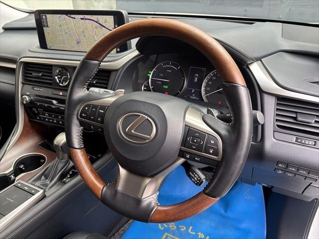 06865916