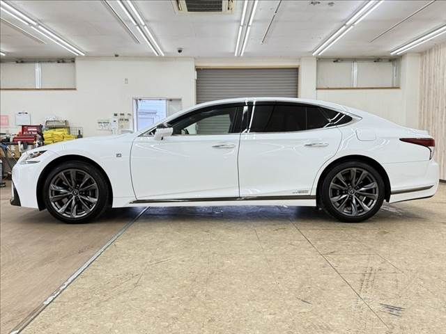 06866145