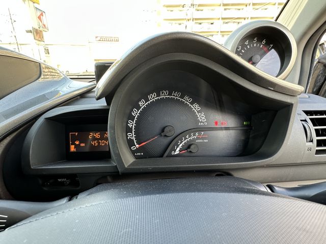 06961419
