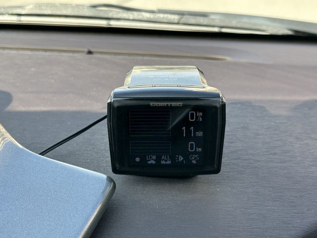 06961419