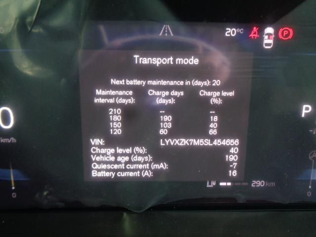 07065618