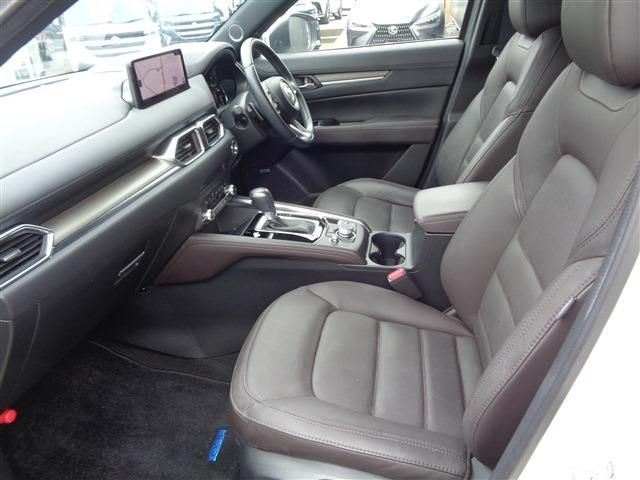 07066065
