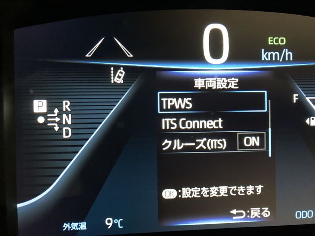07250238