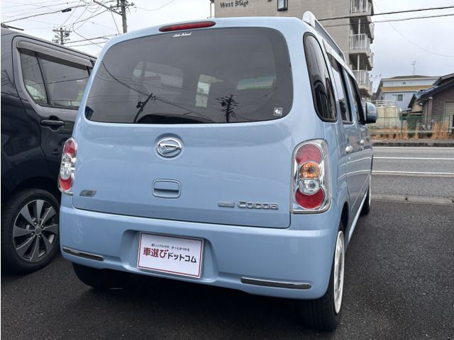 07365621