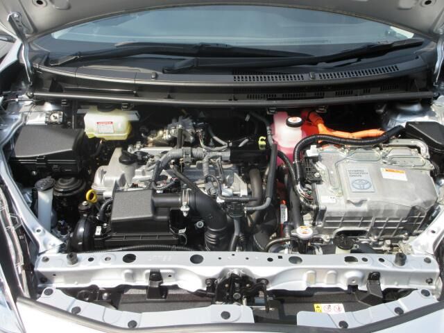 07420067