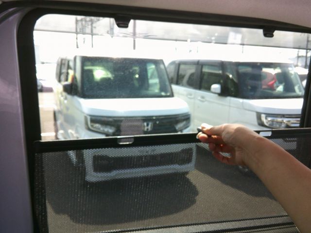 07550159