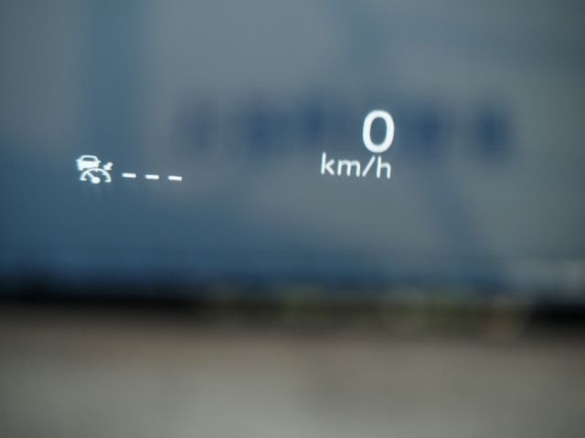 07650317