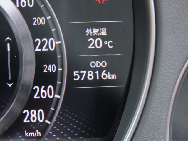 08065904