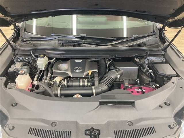 08161567